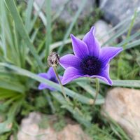 sawalhiwaelphotos