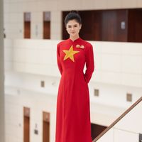 nhạc nền - Vi Ngọc Lan nói này nói kia