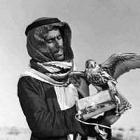 الصوت الأصلي
