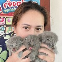 wirunphan_k