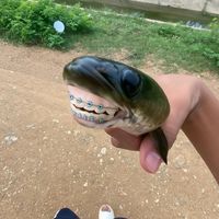 jiraphat251