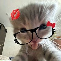 eloderlerr_346