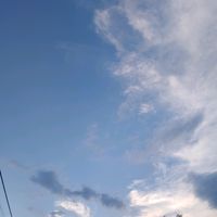 suara asli - D.Begaeleaty💥💥