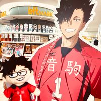 omi_ota
