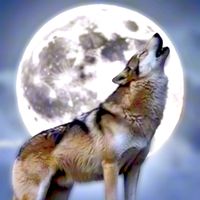 inuoden0