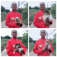 paepisitpinkaew