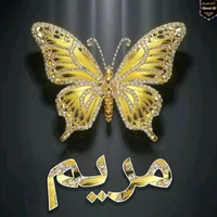 original sound - butterfly.colors1