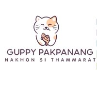 เสียงต้นฉบับ - ᴄᴏᴏʟ ᴄᴏᴠᴇʀ