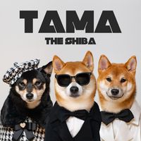 tama.theshiba