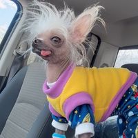 katie7.0