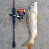 fishing_club32