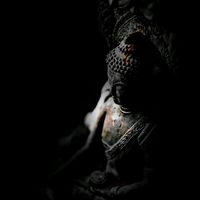 _le_tung_