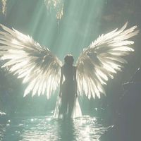 angles_wing110