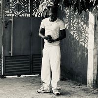 sonoflight231