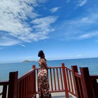ray_ray_741