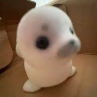 piesmrca