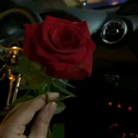 original sound - gul_ten00