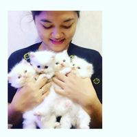 suara asli - ely 🦁
