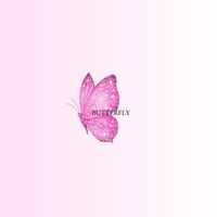 butter.fly_2027