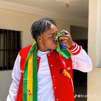 la.lionne.du.togo