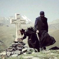 sonofossetia