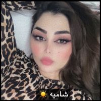 model_shams4
