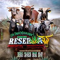 reserva5556