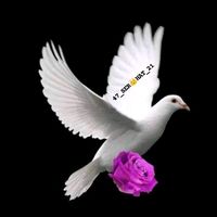 47_serhat_21