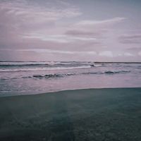 الصوت الأصلي