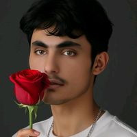 wahdat.noorzai