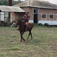 DrAli