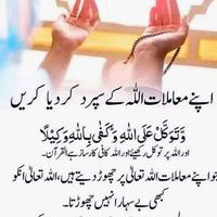 user20415179563095