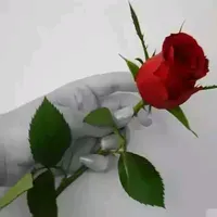 original sound - beyenebelhu3