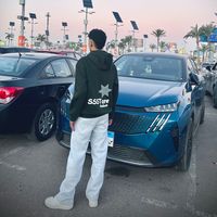الصوت الأصلي