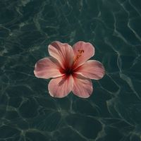 ___.615__