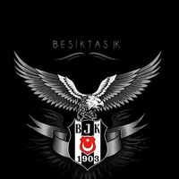 besiktasjk060