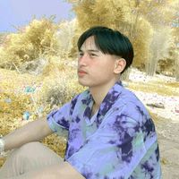 myking1246