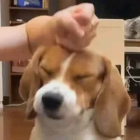 original sound - juan.gabriel.vallejo18