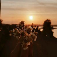 beautiful_flower59