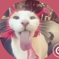 original sound - chanraiiiiii