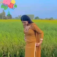 original sound - muhammadgulsher27