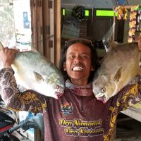 paman.sewor.fishi