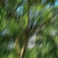 original sound - dilzzfomo