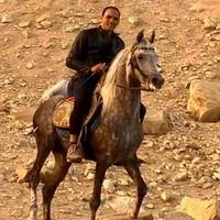 mohammed3248