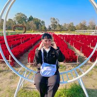 เสียงต้นฉบับ - wonderfrxme