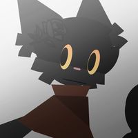 coda_cat929