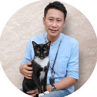 my.cat.lovely