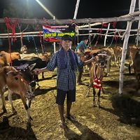 thanaphon_f