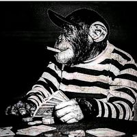 orijinal ses