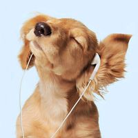 original sound